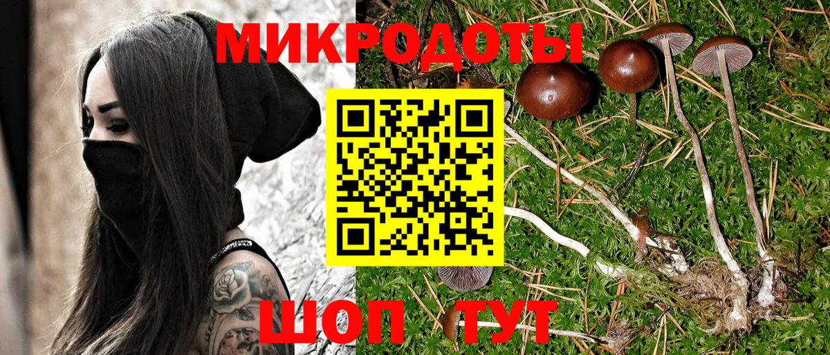 Галлюциногенные грибы MAGIC MUSHROOMS  Вход с VPN  Алейск 